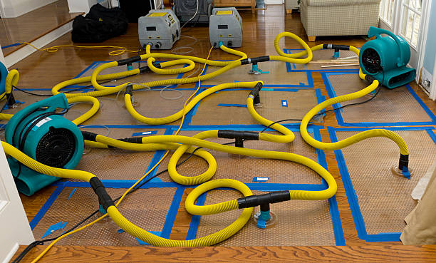 Professional Water Damage Repair technician working in Hammondsville, OH